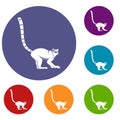 Lemur monkey icons set