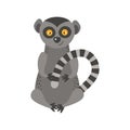 Lemur monkey rare animal vector.