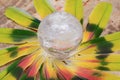 Lemurian Clear Quartz Sphere crystal magical orb in the middle of a circle made of colorful feathers.