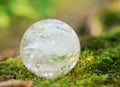 Lemurian Clear Quartz Sphere crystal magical orb on moss, bryophyta and bark, rhytidome in forest