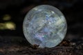 Lemurian Clear Quartz Sphere crystal magical orb on moss, bryophyta and bark, rhytidome in forest