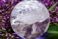 Lemurian Clear Quartz Sphere crystal magical orb surrounded by purple lilac flower.