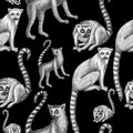 Lemurs pattern drawing silhouette tropical animals isolate object background primacy