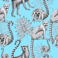 Lemurs pattern drawing silhouette tropical animals isolate object blue background primacy