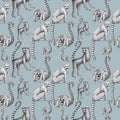 Lemurs pattern drawing silhouette tropical animals isolate object gray background primacy