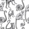 Lemurs pattern drawing silhouette tropical animals isolate object white background primacy