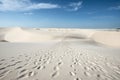 Lencois Maranhenses National Park, Brazil Royalty Free Stock Photo