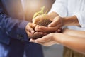 Lend me a breath that I could borrow. .Shot of a group of unrecognizable businesspeople holding a plant growing out of