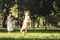 Length view of young girl in white dress smiling and looking at jumping golden retriever on meadow Royalty Free Stock Photo