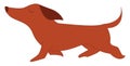Lengthy dog , vector or color illustration