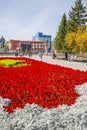 Lenin square with a blossoming flowerbed. Novosibirsk, Russia