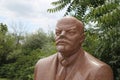 Lenin statue Royalty Free Stock Photo