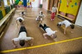 Lesson of physical education of children of elementary grades in Royalty Free Stock Photo