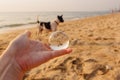 Lens ball in hand with reflection of a dog on the sea shore Royalty Free Stock Photo