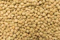 Lentil legume. Closeup of grains, background use.