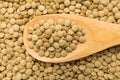 Lentil legume. Grains in wooden spoon. Close up.