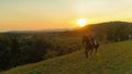 LENS FLARE: Energetic horse gallops through countryside with woman on its back.