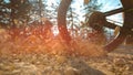 LENS FLARE: Unrecognizable man brakes while riding a bike down gravel track. Royalty Free Stock Photo