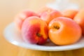 Lensbaby apricots