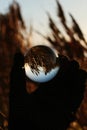 Lensball admiring the landscape around