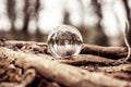 Lensball into the forrest with reverse on it