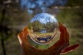 Lensball photography, nature scene in the forest with lake and dog in foreground