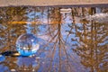 Lensball Views In A Puddle Of Water Royalty Free Stock Photo
