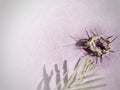 Lent Season,Holy Week and Good Friday concepts - image of crown of thorns in vintage background Royalty Free Stock Photo