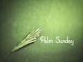 Lent Season,Holy Week and Good Friday Concepts - Palm Sunday text with green vintage background. Stock photo.