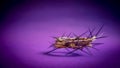 Lent Season,Holy Week and Good Friday concepts - photo of crown of thorns in purple vintage background Royalty Free Stock Photo
