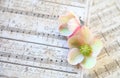 Vintage music with hellebore flowers