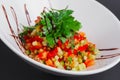 Lenten salad with tomato, marrow squash, cuscus, zucchini and paprika
