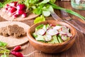 Lenten spring vegetable salad from cucumber, radish, greens Royalty Free Stock Photo