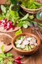 Lenten spring vegetable salad of cucumber, radish, greens Royalty Free Stock Photo