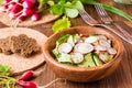 Lenten spring vegetable salad from cucumber, radish, greens Royalty Free Stock Photo