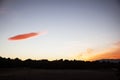 Lenticular shaped clouding the forest at sunset