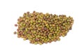 Lentil Royalty Free Stock Photo