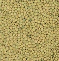 Lentil background