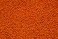 lentil background.vegetable protein. Bean products. Dry lentil orange grits.Cereals and legumes. carbohydrate food. Royalty Free Stock Photo