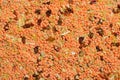 Lentil and Bulgur Mix with Dried Herbs and Spices Royalty Free Stock Photo