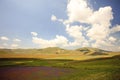 The lentil flowering in Castelluccio di Norcia. Thousands of colors