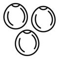 Lentil icon outline vector. Cereal seed
