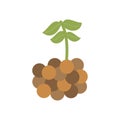 Lentil legume vector illustration icon