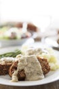 Lentil Loaf and Gravy Royalty Free Stock Photo