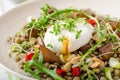 Lentil salad with poached egg Royalty Free Stock Photo