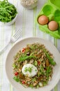 Lentil salad with poached egg Royalty Free Stock Photo