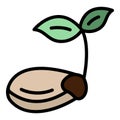 Lentil sead grow icon vector flat