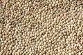 Lentil seeds, Lens culinaris Royalty Free Stock Photo