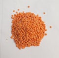 Lentil, small annual legume of the pea family and its nutritious edible seed.