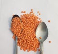 Lentil, small annual legume of the pea family and its nutritious edible seed.